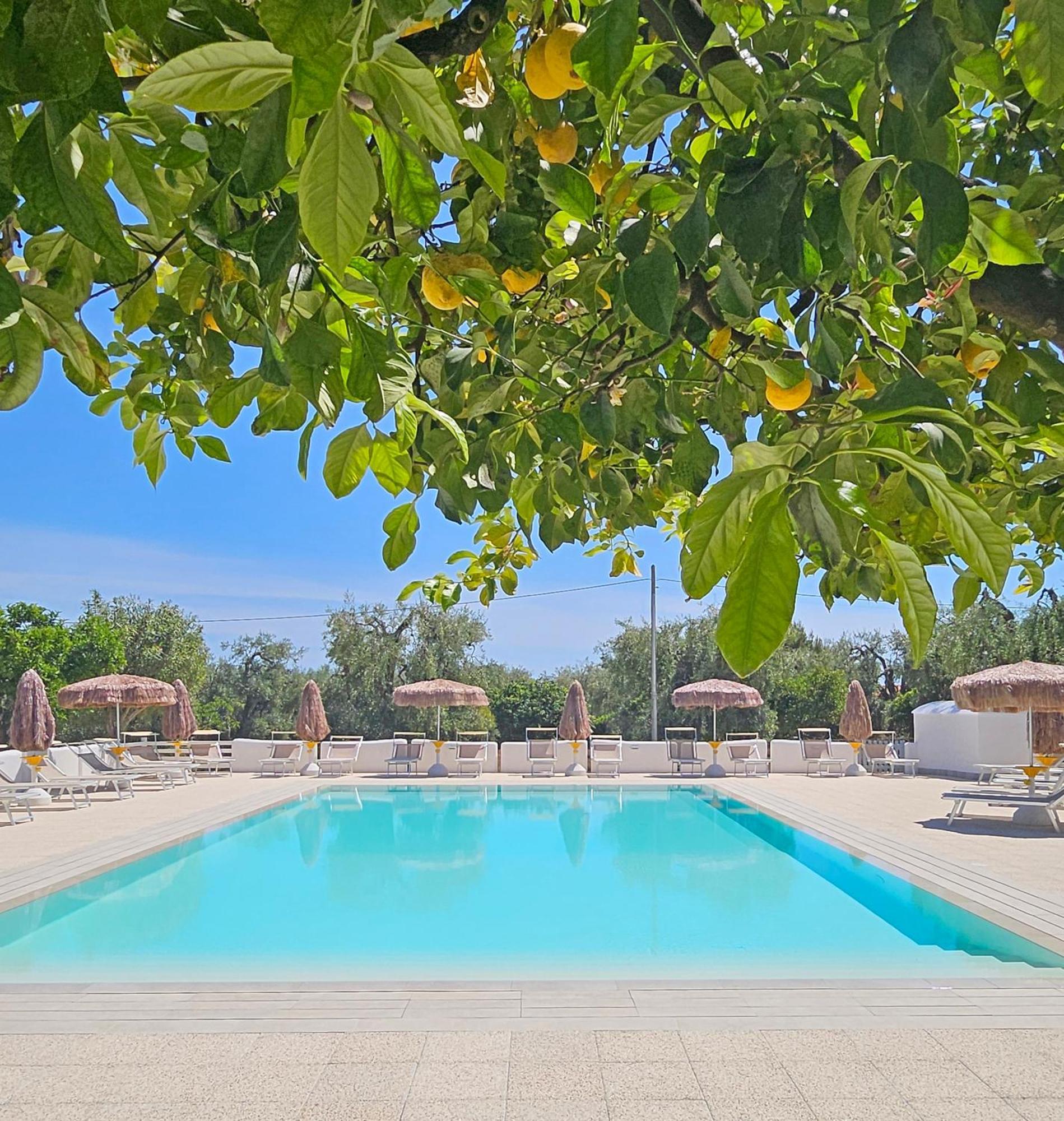 Hotel Residence Torre Del Porto Mattinata Zewnętrze zdjęcie