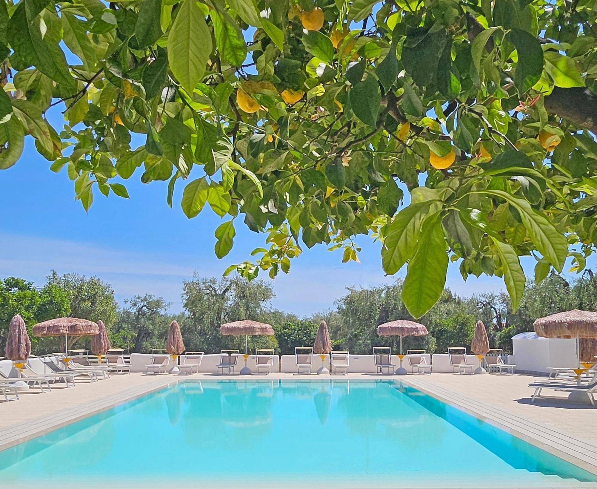 Hotel Residence Torre Del Porto Mattinata Zewnętrze zdjęcie